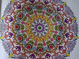 whatsapp bild 2025-04-09 um 14.01.48_fabb72fa